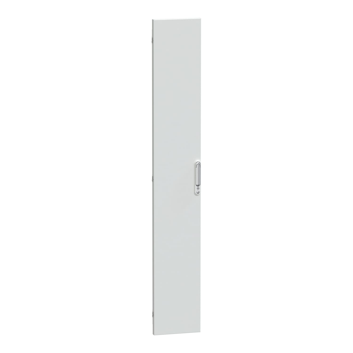 SCHNEIDER ELECTRIC - Porta piena IP30 L300 Prisma P