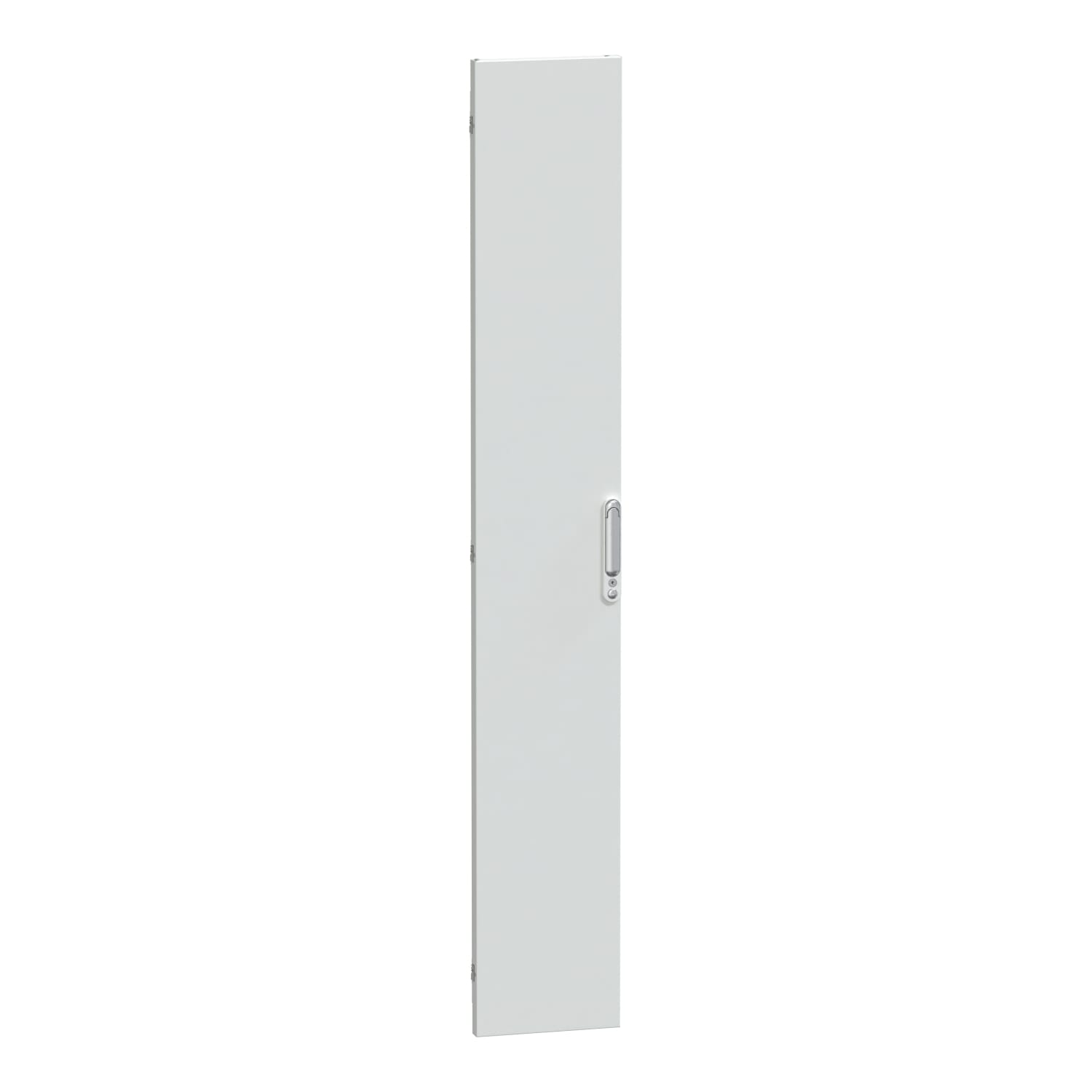 SCHNEIDER ELECTRIC - Porta piena IP55 L300 Prisma P