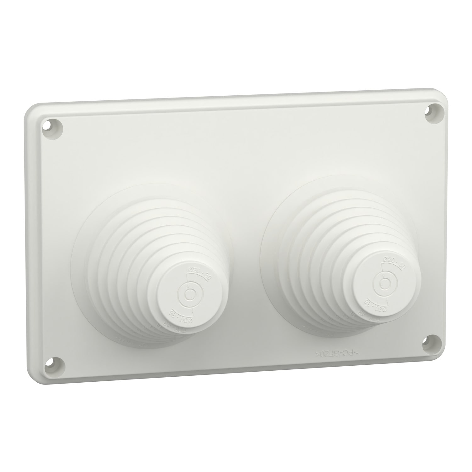 SCHNEIDER ELECTRIC - Struttura, PrismaSeT, Piastra, PPC 2 entrate 33/72mm IP55