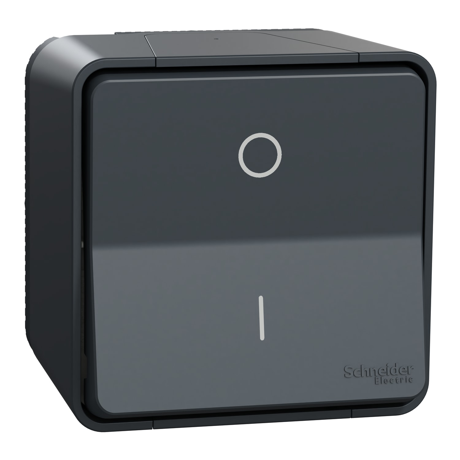 SCHNEIDER ELECTRIC - Mureva interruttore 2P 16AX