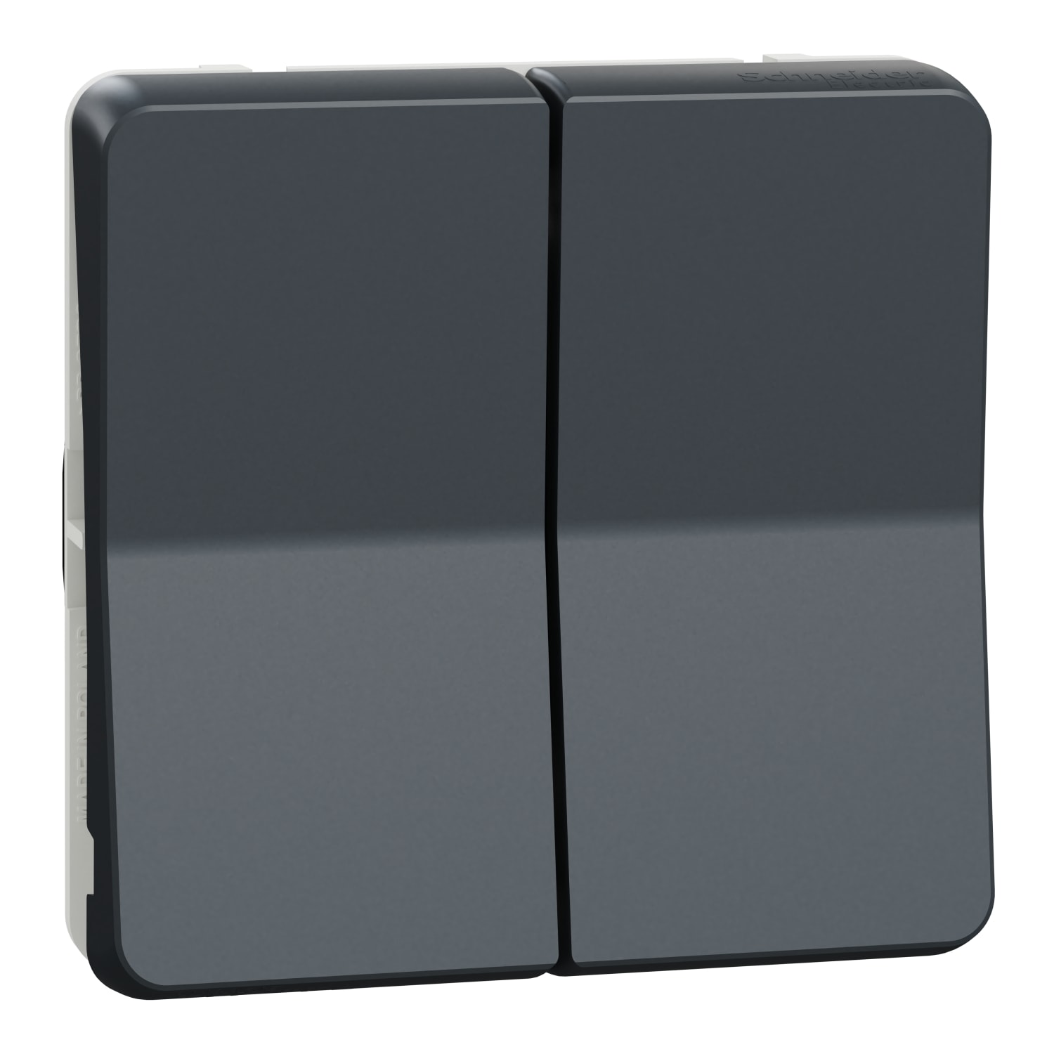 SCHNEIDER ELECTRIC - Mureva accessorio doppio pulsante 10 A