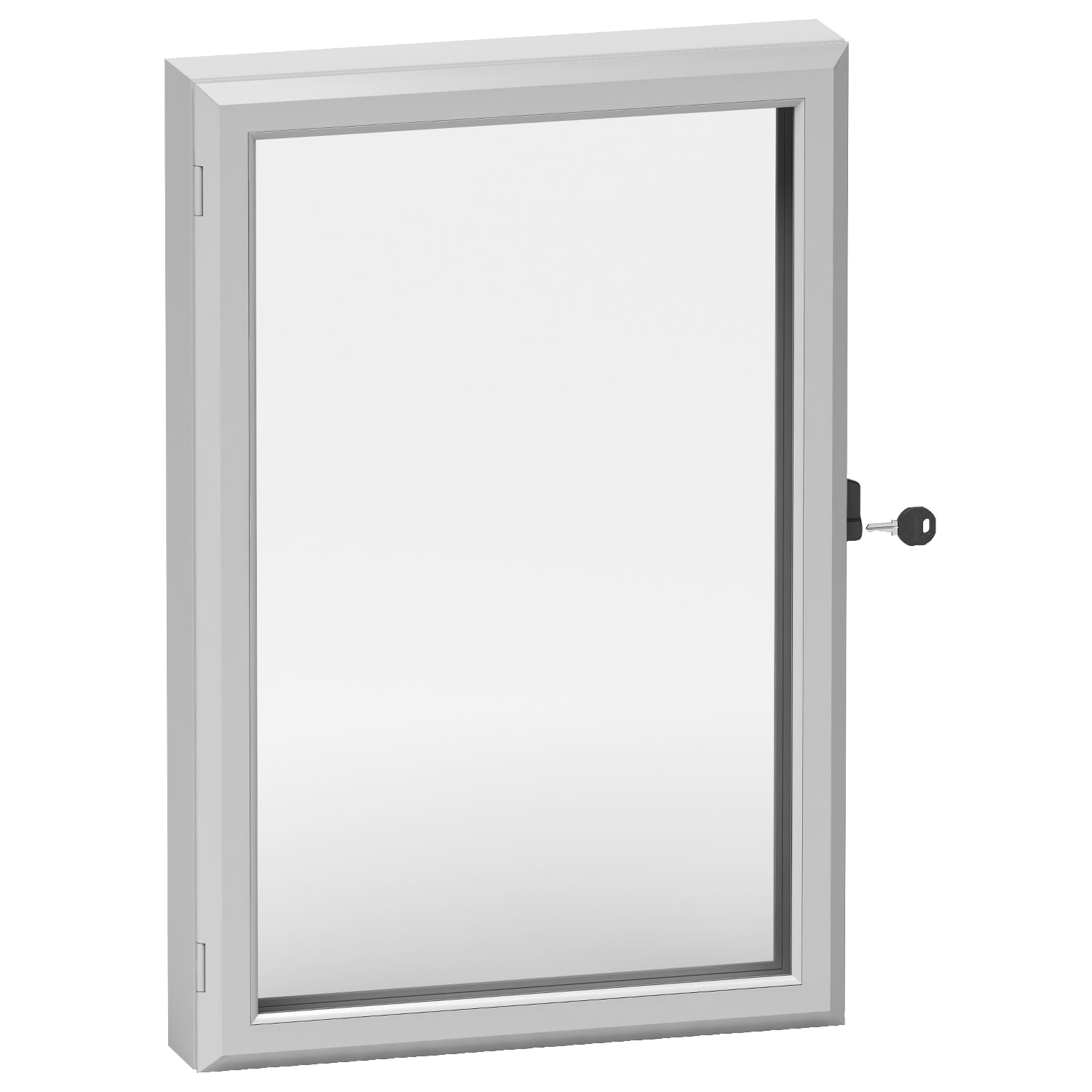SCHNEIDER ELECTRIC - Finestra di controllo IP55 500x400 mm