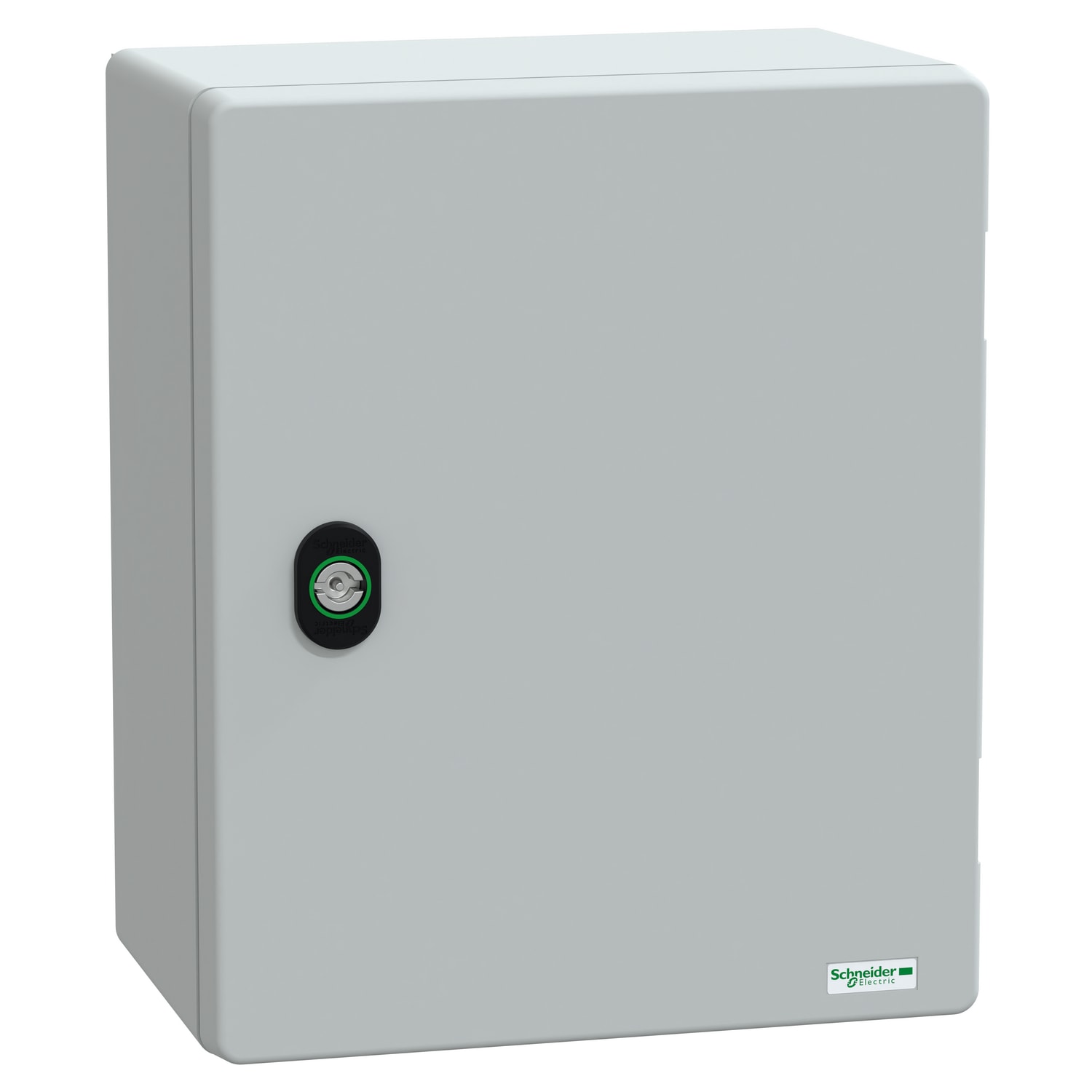 SCHNEIDER ELECTRIC - Cassetta in poliestere con porta liscia e piastra in bakelite, 308x255x160 mm, IP66, IK10, RAL 7035