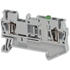 Miniatura Immagine principale 1