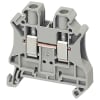 Miniatura Immagine principale 1