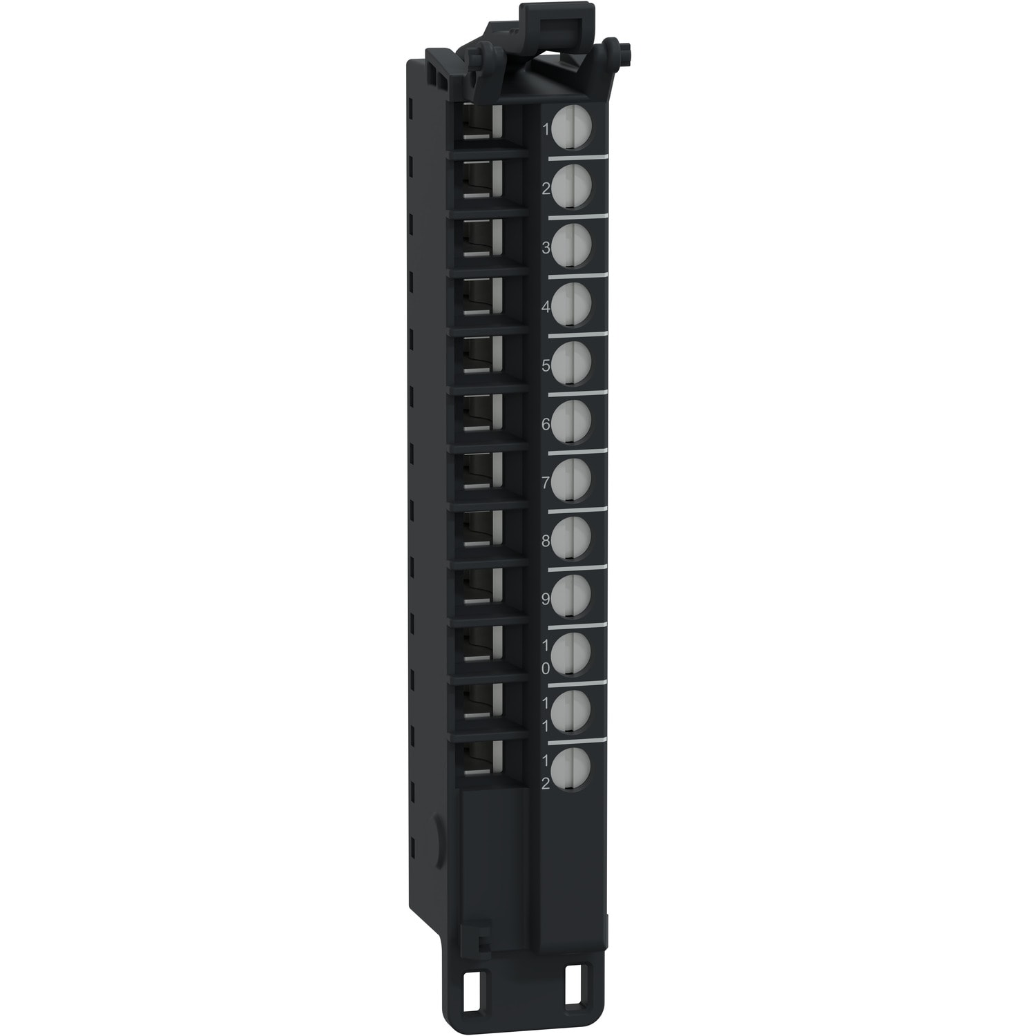 SCHNEIDER ELECTRIC - Morsettiera a vite, 12 punti, passo 5 mm, senza Copertura, da utilizzare su modulo corto, temprata, Modicon Edge I/O NTS