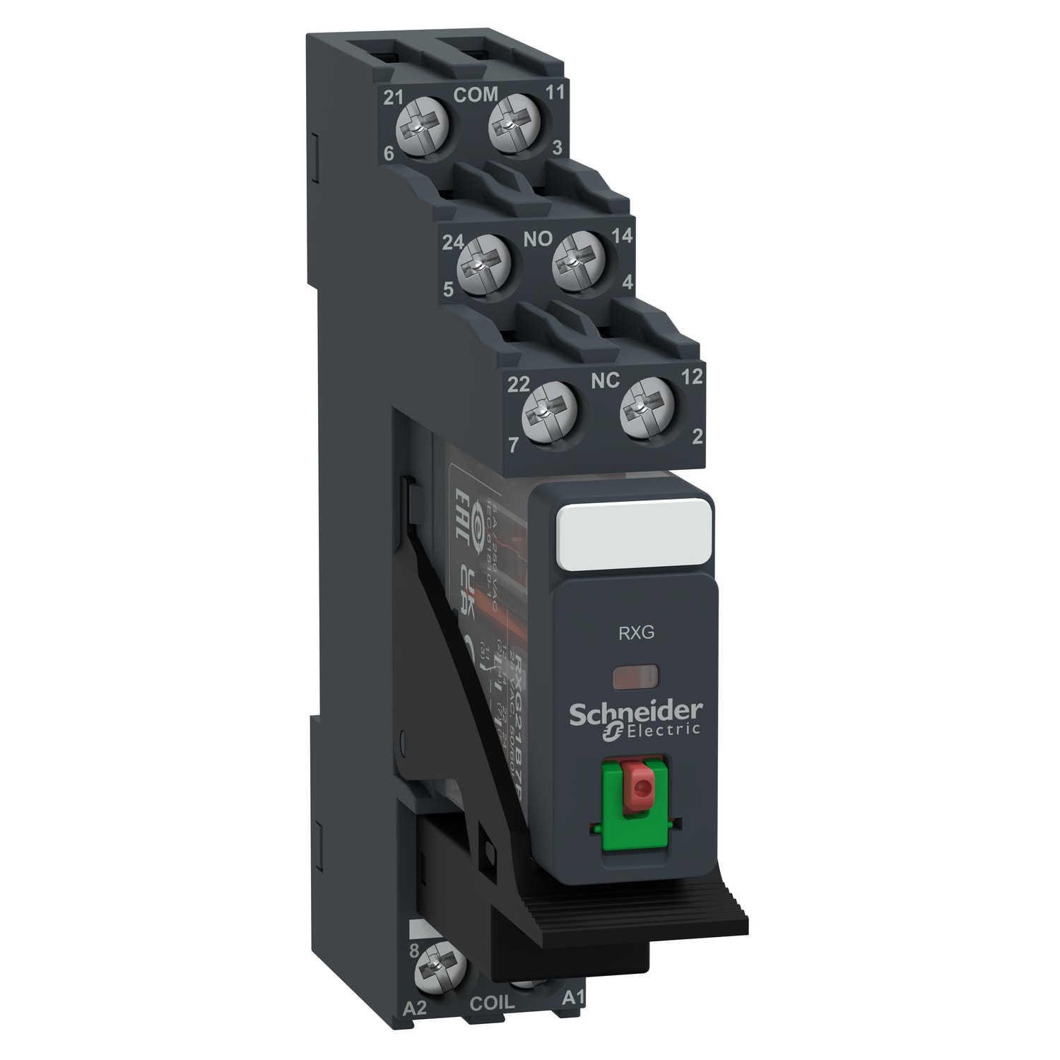 SCHNEIDER ELECTRIC - Relè RXG con pulsante di test completo di base-2NC/NO 5A 24VAC + varistore