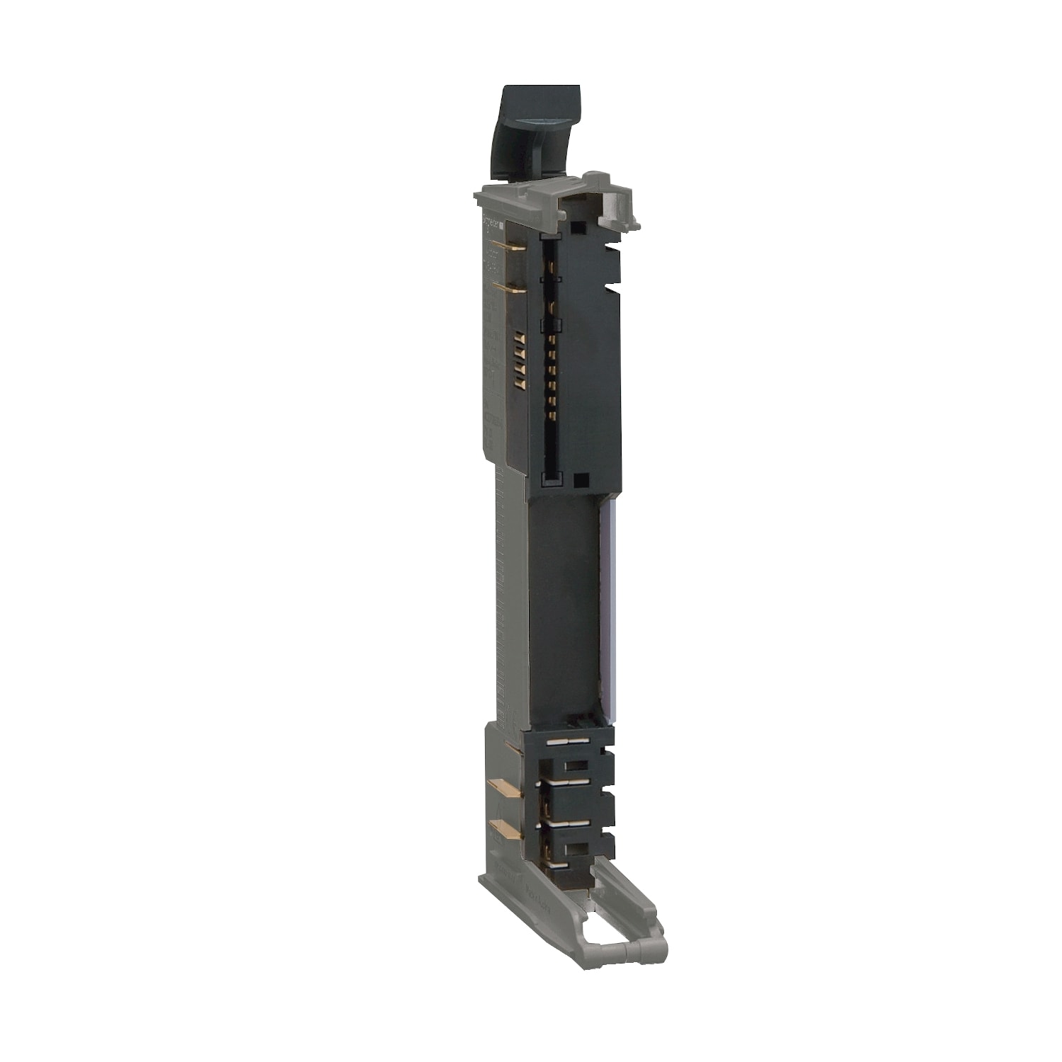 SCHNEIDER ELECTRIC - Base bus - 24 Vcc - grigio - 1 pz
