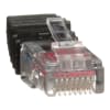 Miniatura Immagine principale 1