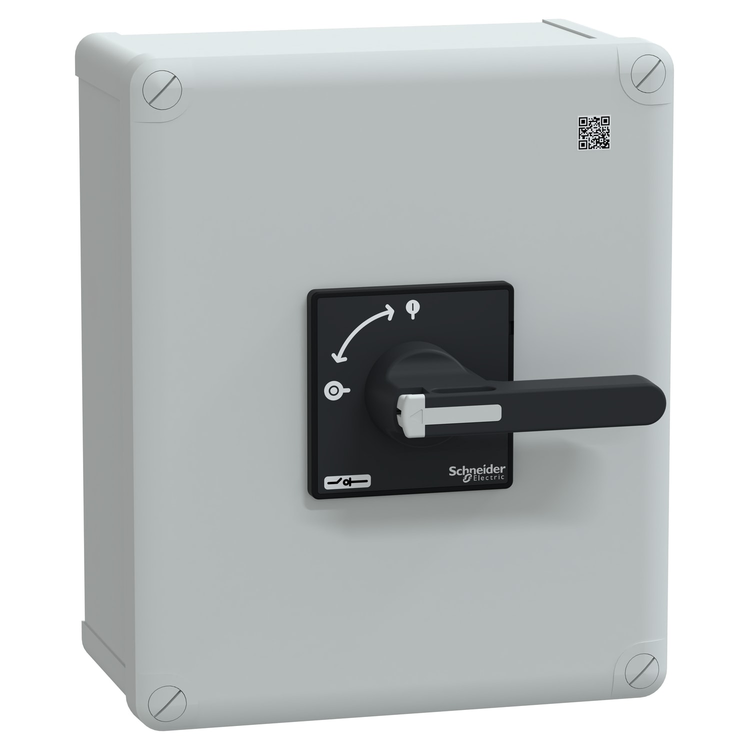 SCHNEIDER ELECTRIC - Interruttore sezionatore Vario VBF in cassetta IP65 - 3 poli - 100 A