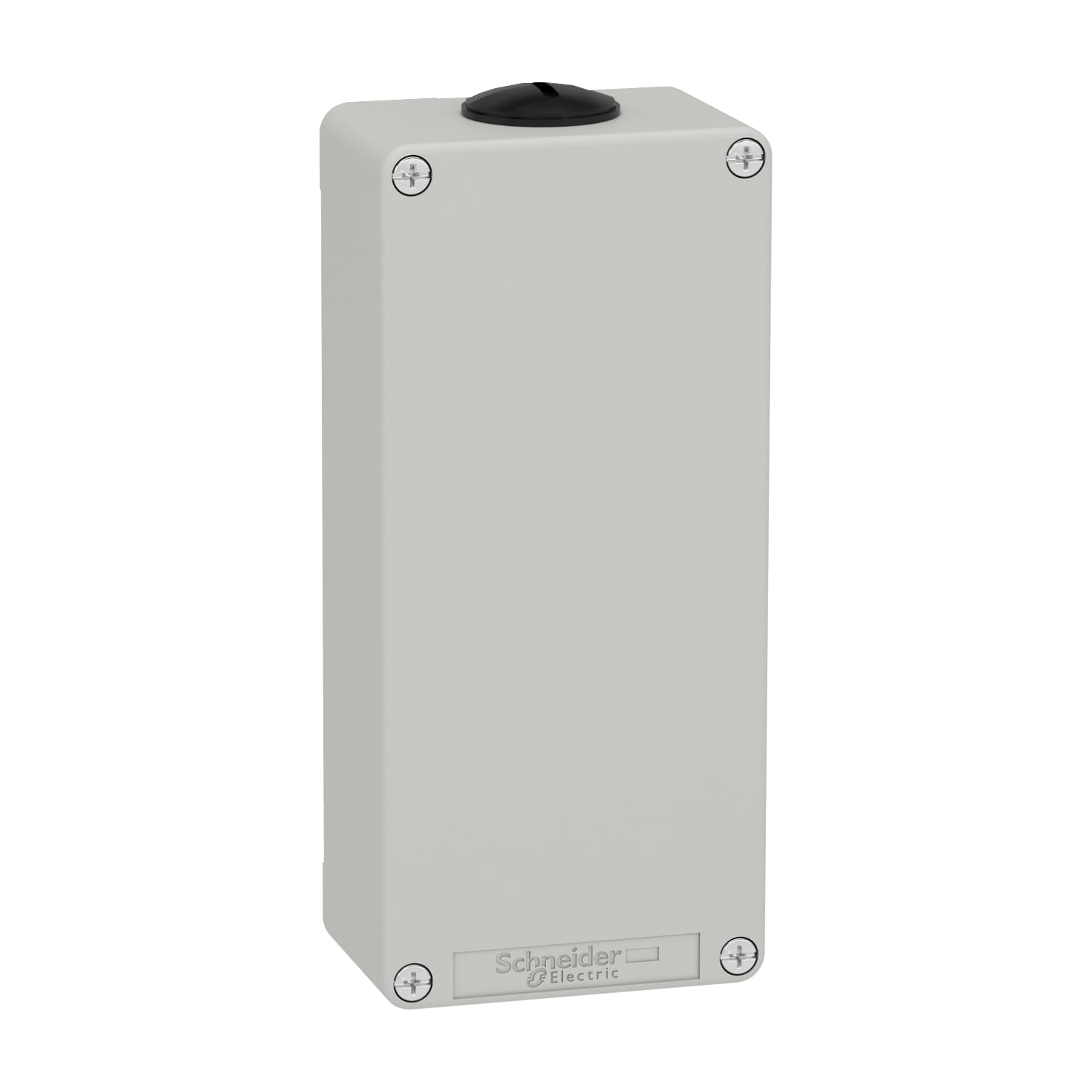 SCHNEIDER ELECTRIC - Pulsantiera in metallo grigia  M25 non forata 80X175X51,5 UL CSA