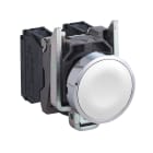 SCHNEIDER ELECTRIC - Pulsante completo filoghiera bianco Ø22 ad impulso 1 NO senza marcatura