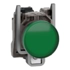 SCHNEIDER ELECTRIC - Harmony XB4, Lampada spia, metallo, verde, diam.22,  con LED integrato ad alta protezione, 110…240VAC 300 VA a 230 VAC, 120 VA a 120 VAC