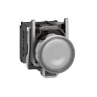 SCHNEIDER ELECTRIC - Pulsante luminoso bianco Ø22 - filoghiera ad impulso - 24V - 1NO+1NC- LED universale