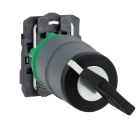 SCHNEIDER ELECTRIC - Selettore, Harmony XB5, chiave 455 2 posizioni fisse, a  chiave ghiera grigia, 1NO