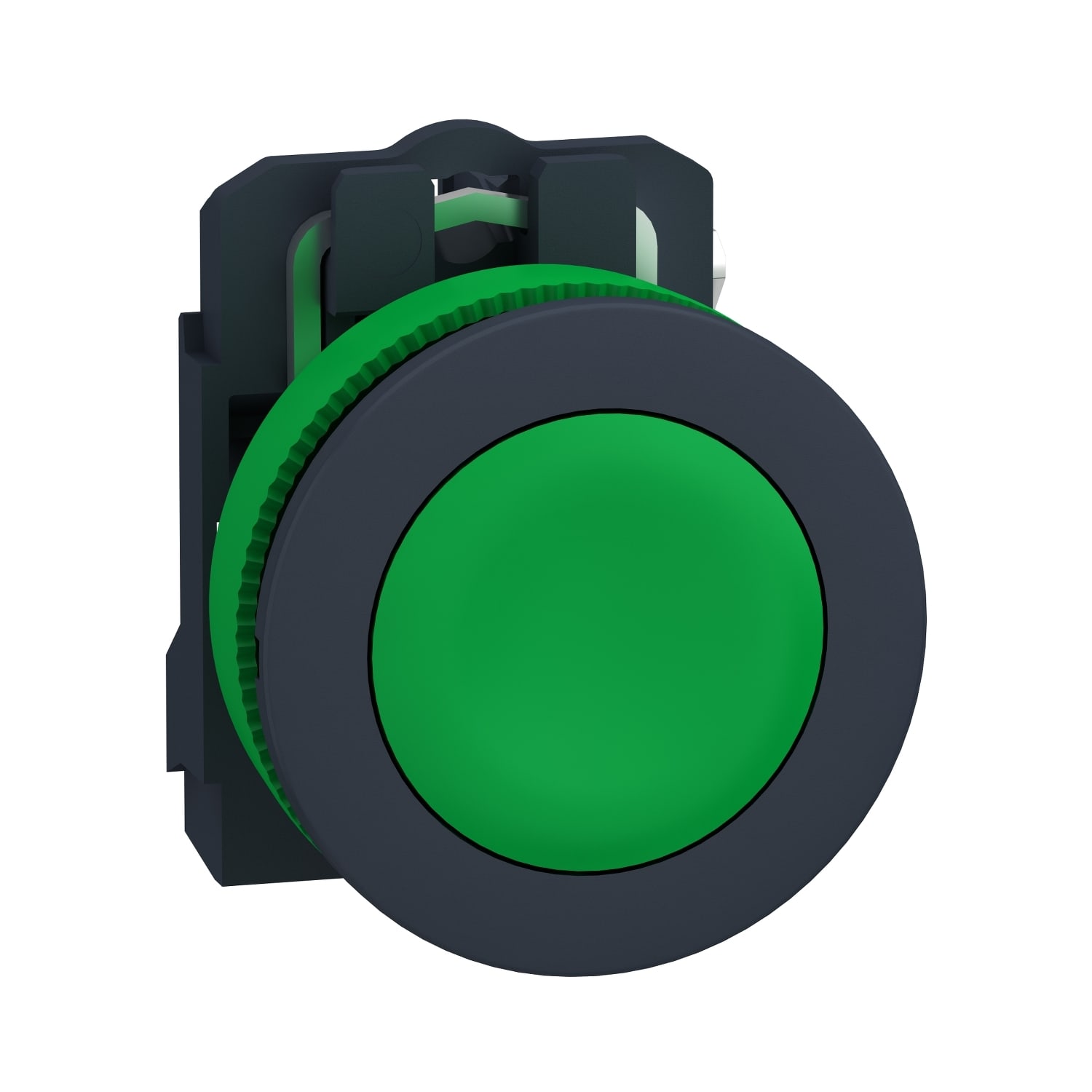 SCHNEIDER ELECTRIC - Harmony XB5, pulsante verde filopannello, in plastica, ad impulso, Ø30 1NO