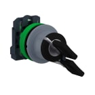 SCHNEIDER ELECTRIC - Selettore, Harmony XB5, filopannello, 30mm,chiave 455 2 pos. fisse estrazione chiave entrambi, 1 NO, ghiera grigia