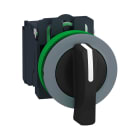 SCHNEIDER ELECTRIC - Selettore, Harmony XB5, filopannello, 30mm, 2 posizioni fisse, leva lunga, 1 NO, ghiera grigia