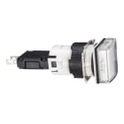 SCHNEIDER ELECTRIC - Lampada spia quadrata Ø16 - IP65 - bianca - LED integrato - 24V