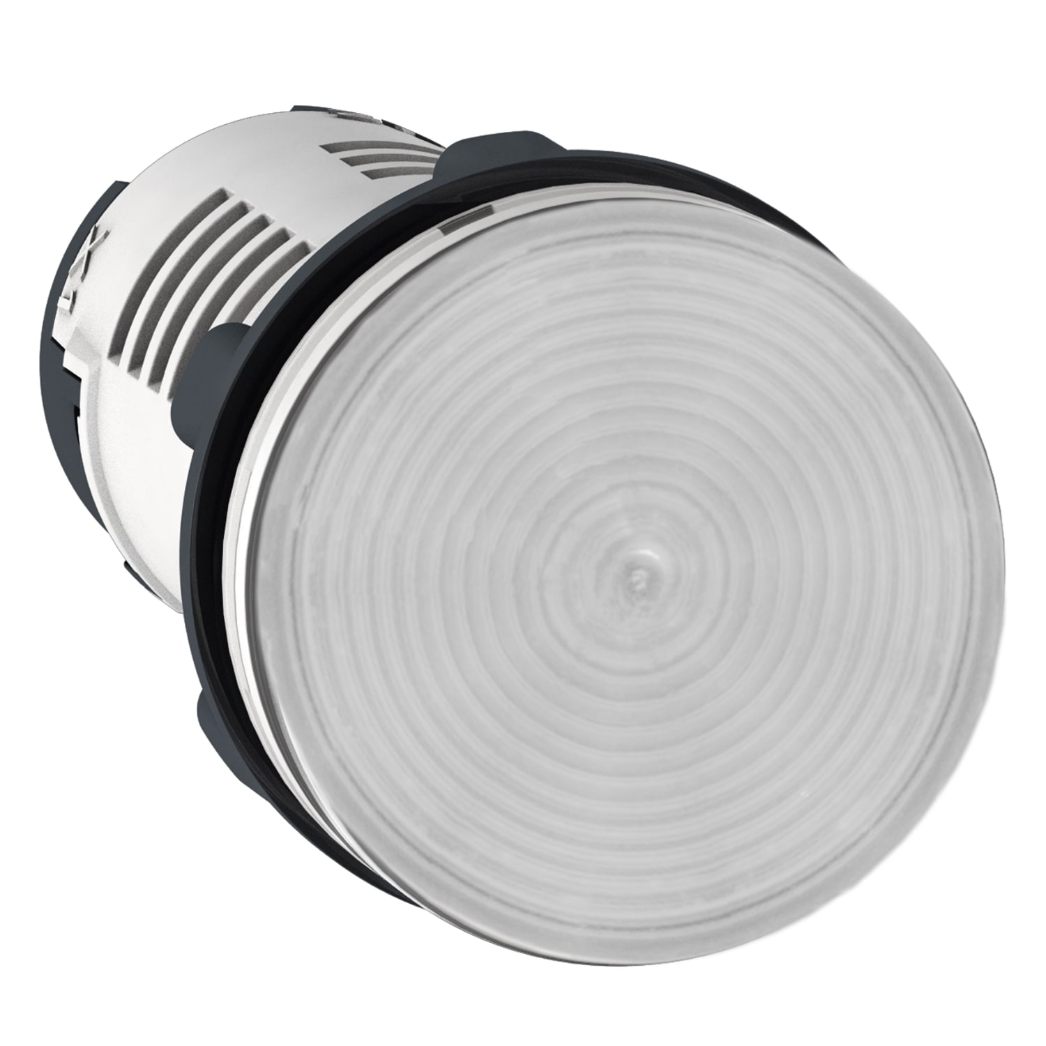 SCHNEIDER ELECTRIC - Lampada spia - LED - trasparente - 24 V
