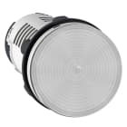 SCHNEIDER ELECTRIC - Lampada spia - LED - trasparente - 24 V