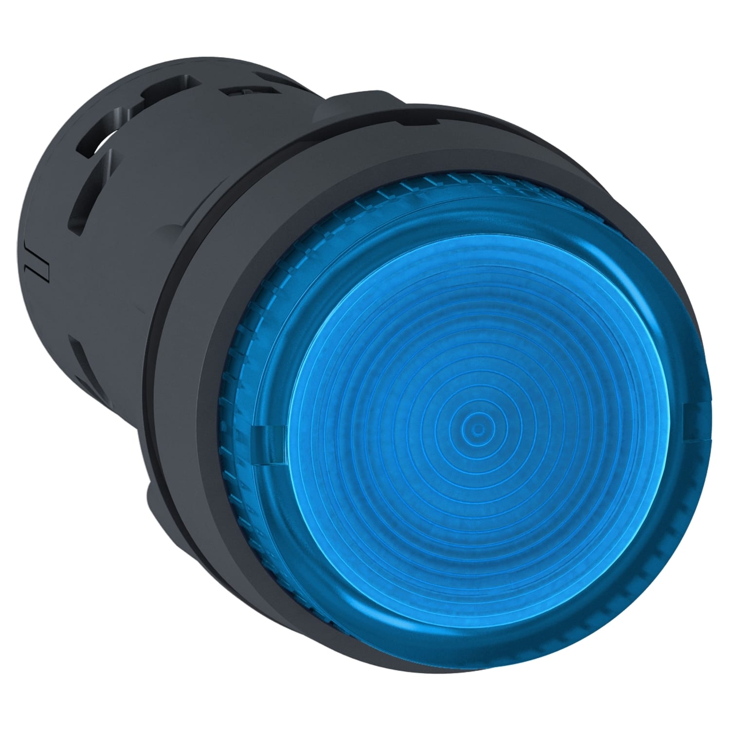 SCHNEIDER ELECTRIC - Pulsante luminoso - LED - ad impulso - 1 NO - blu - 24 V