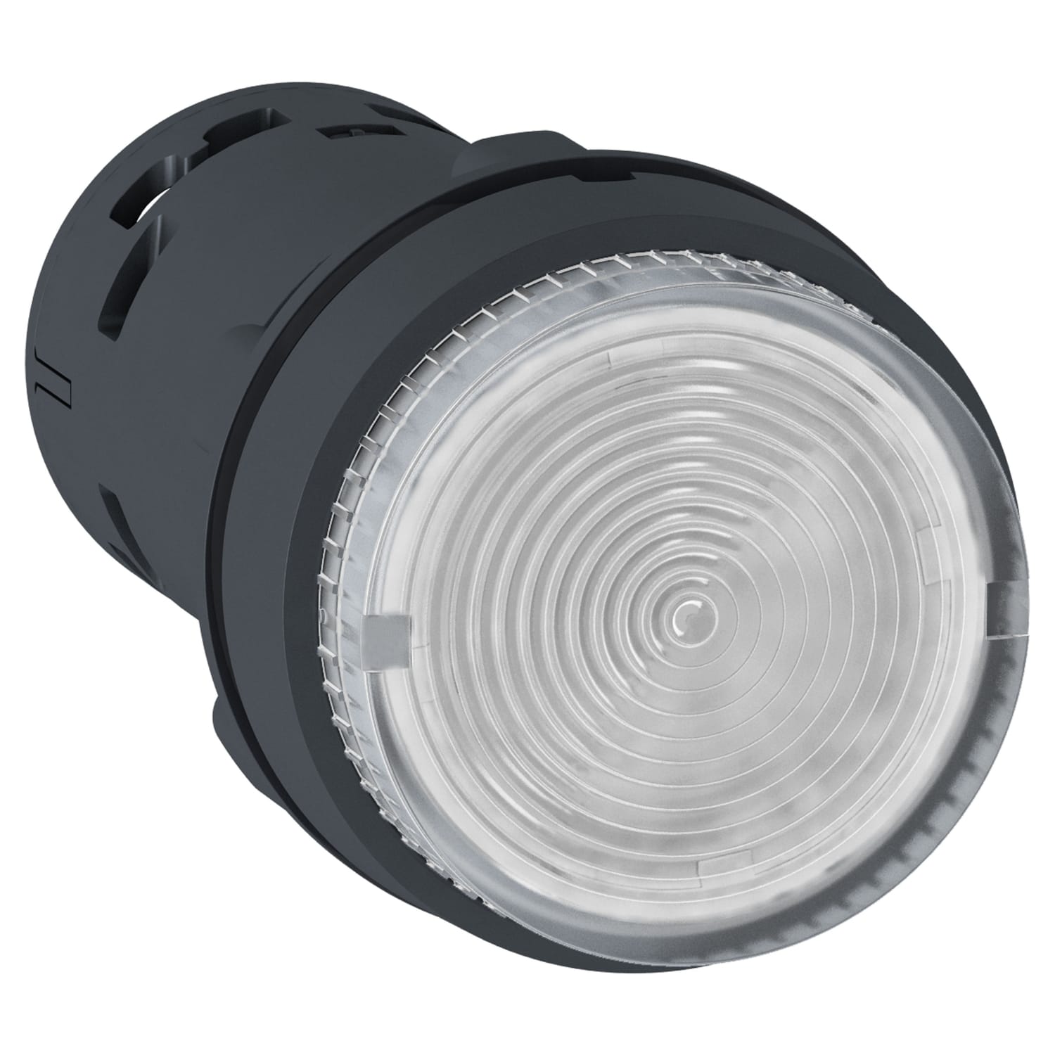 SCHNEIDER ELECTRIC - Pulsante luminoso - LED - ad impulso - 1 NO - trasparente - 24 V
