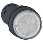 SCHNEIDER ELECTRIC - Pulsante luminoso - LED - ad impulso - 1 NO - trasparente - 24 V