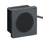 SCHNEIDER ELECTRIC - Allarme elettronico modificabile - DIN96 - VNC/NOE - nero - PNP - 12-24 VDC