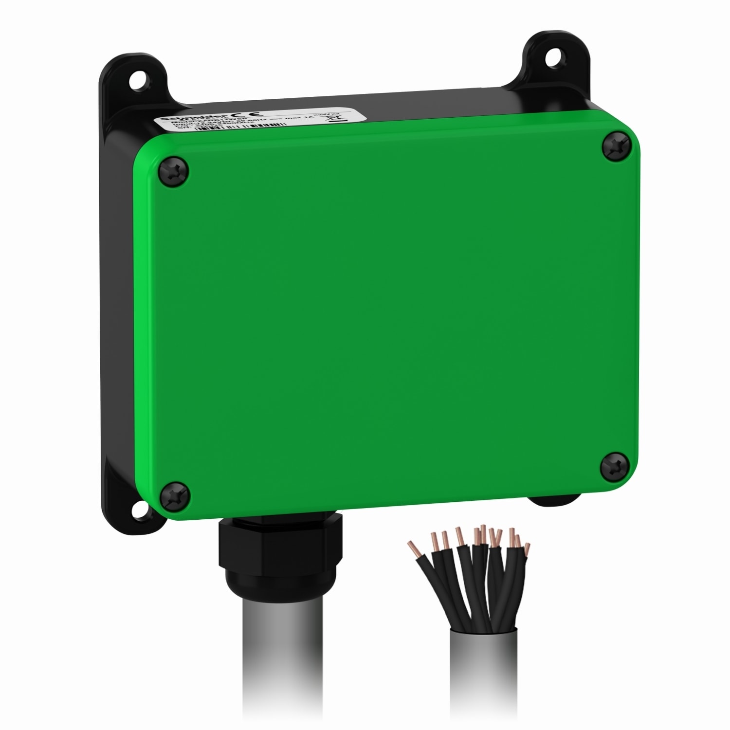 SCHNEIDER ELECTRIC - Base ricevitore 5 relè , uscita pre-cablata con cavo lunghezza 1.5 m