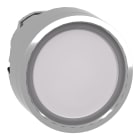 SCHNEIDER ELECTRIC - Testa pulsante luminoso Ø22 - bianco - per inserimento etichetta- per LED universale