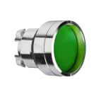 SCHNEIDER ELECTRIC - Testa pulsante Ø22 - ad impulso - incassato - verde - senza marcatura