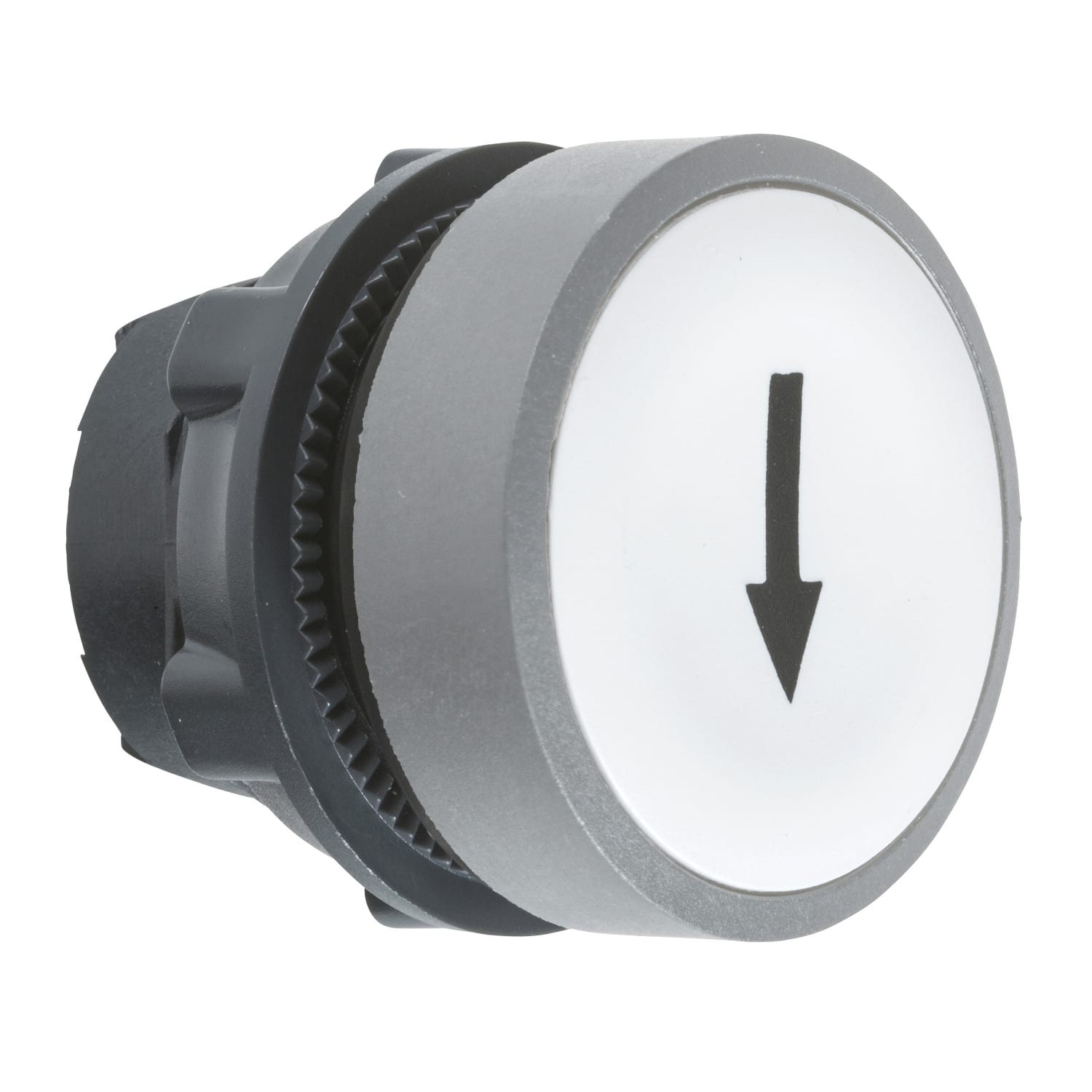 SCHNEIDER ELECTRIC - Testa pulsante, Harmony XB5, plastica, filoghiera, bianco, 22mm, ad impulso, con marcatura freccia, ghiera grigia