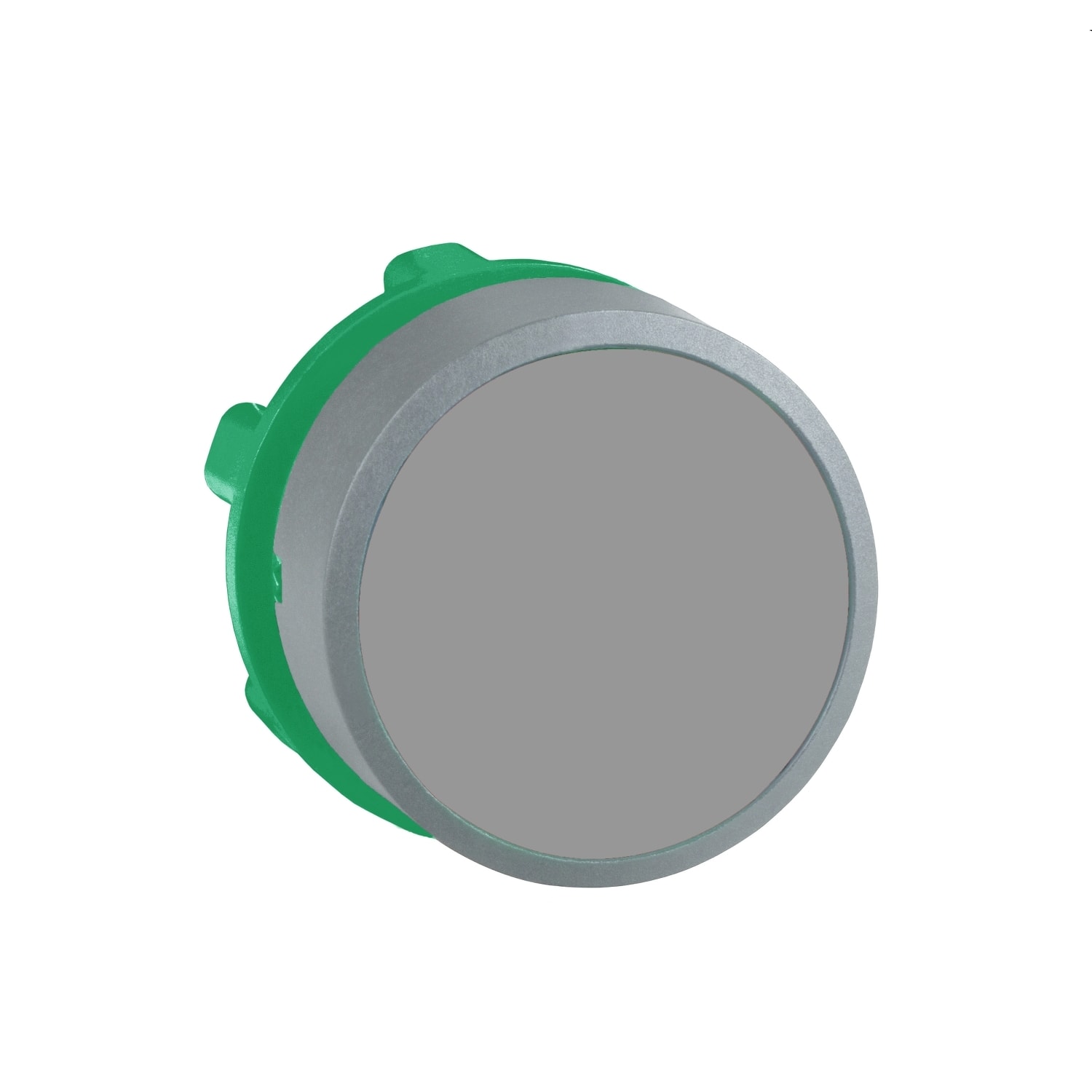 SCHNEIDER ELECTRIC - Testa pulsante grigio grigio