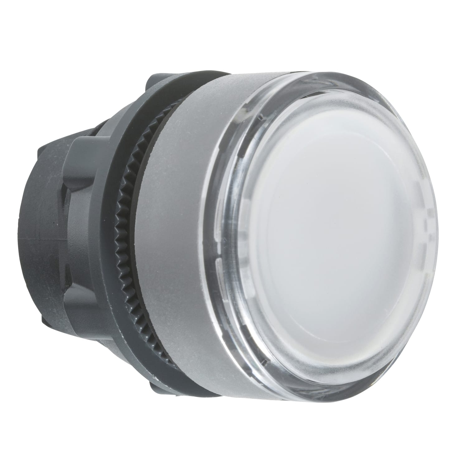 SCHNEIDER ELECTRIC - Testa pulsante luminoso bianco ghiera grigia