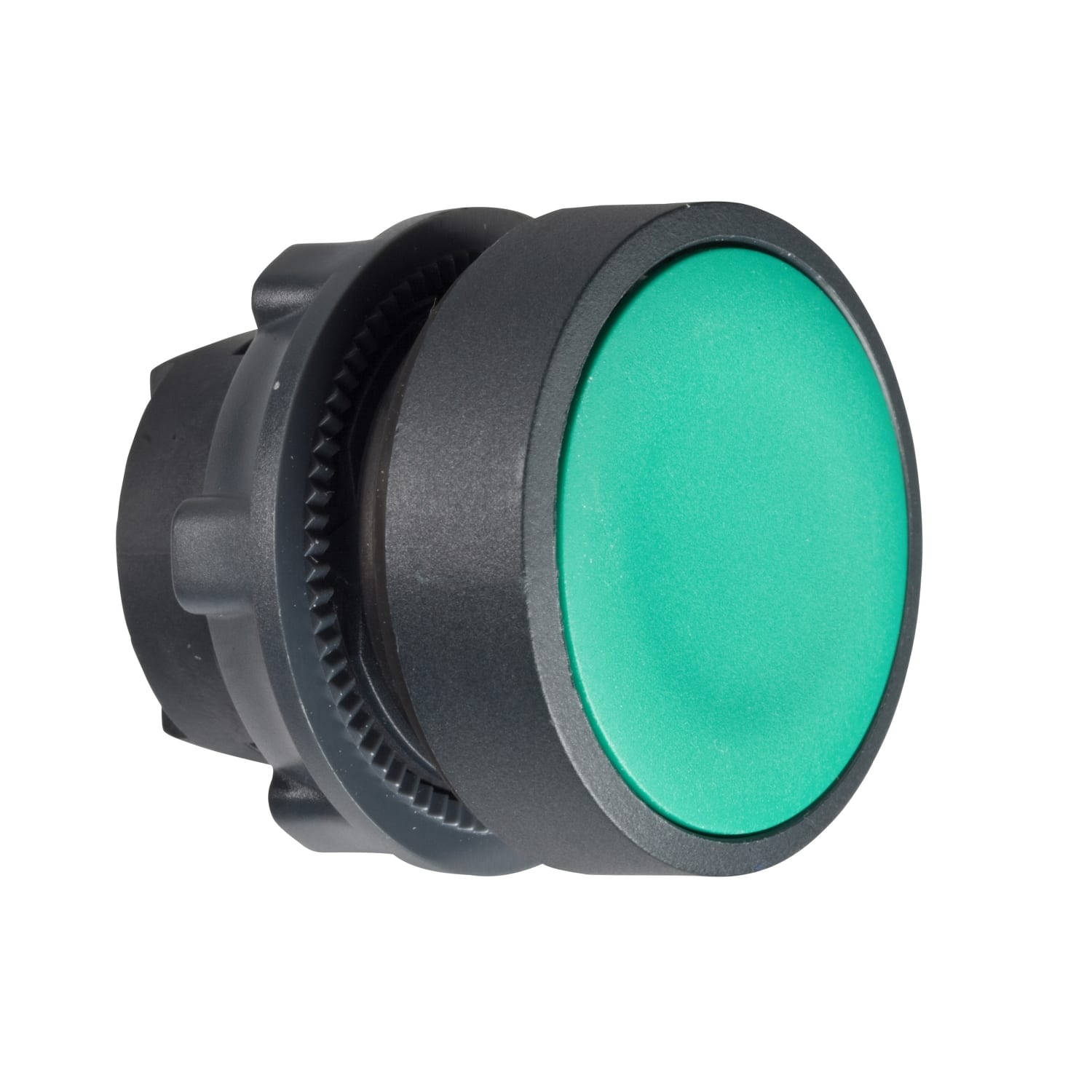 SCHNEIDER ELECTRIC - Testa pulsante Ø22 - passo-passo - verde - filoghiera