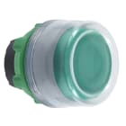 SCHNEIDER ELECTRIC - Testa pulsante verde con cappuccio grigio