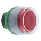 SCHNEIDER ELECTRIC - Testa pulsante rosso con cappuccio grigio