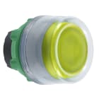 SCHNEIDER ELECTRIC - Testa pulsante giallo con cappuccio grigio