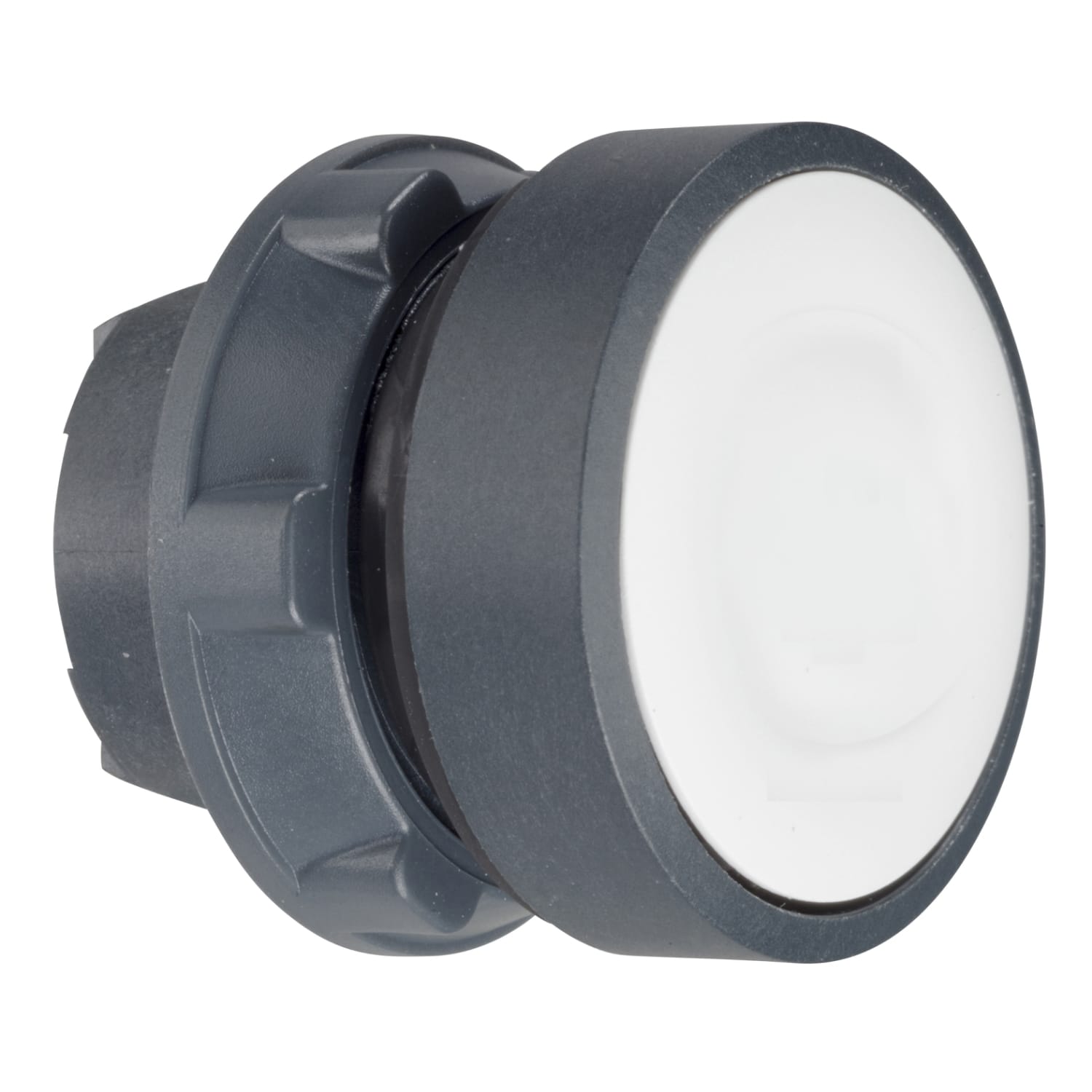SCHNEIDER ELECTRIC - Testa pulsante luminoso Ø22 - bianco