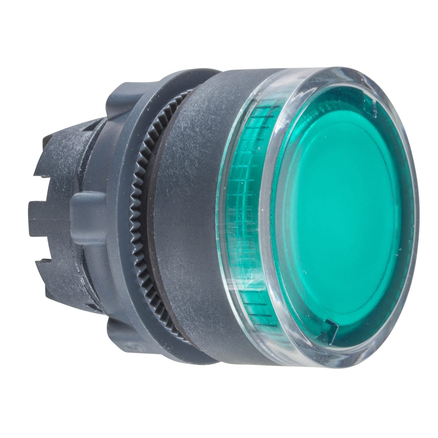 SCHNEIDER ELECTRIC - Testa pulsante luminoso Ø22 - verde