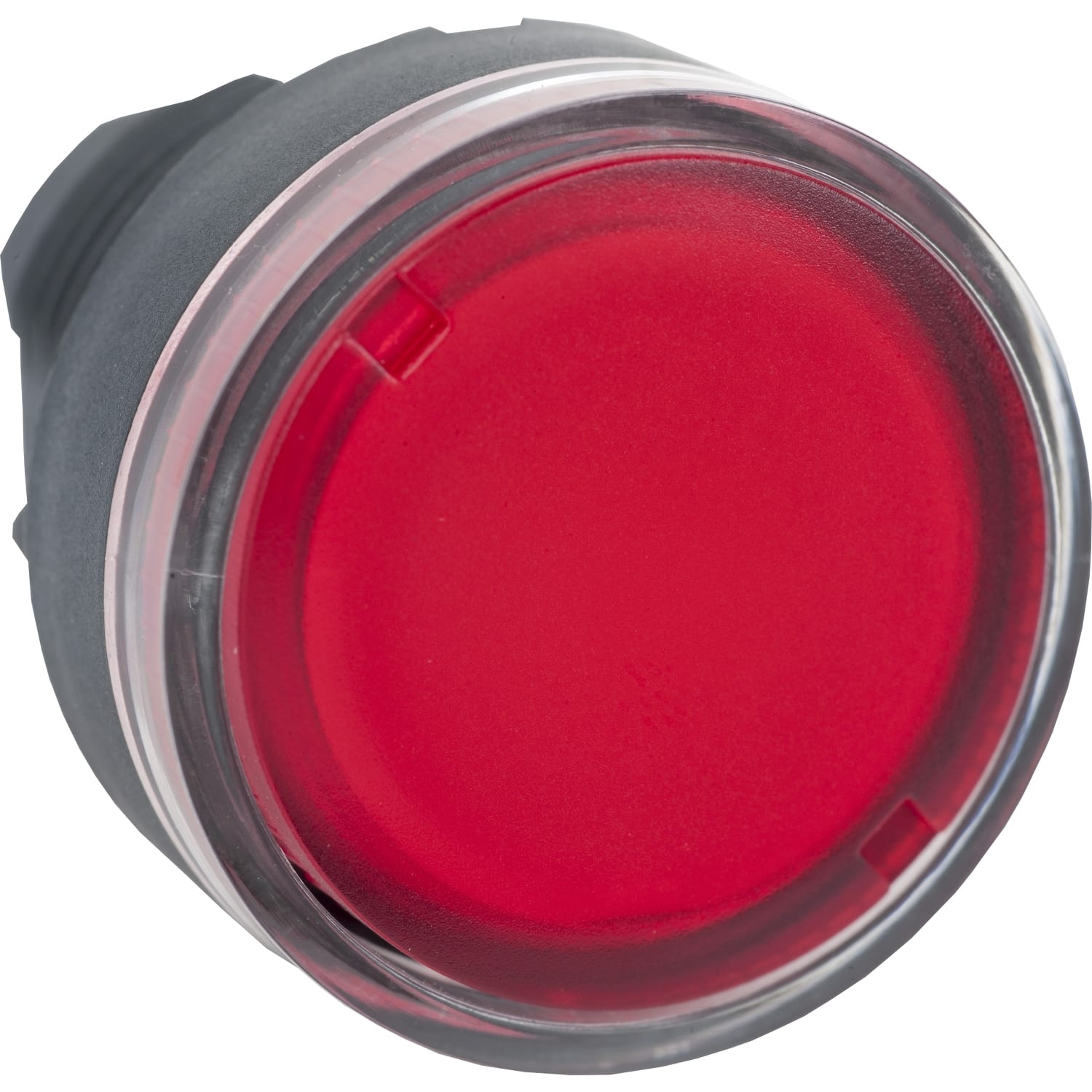 SCHNEIDER ELECTRIC - Testa pulsante luminoso Ø22 - rosso
