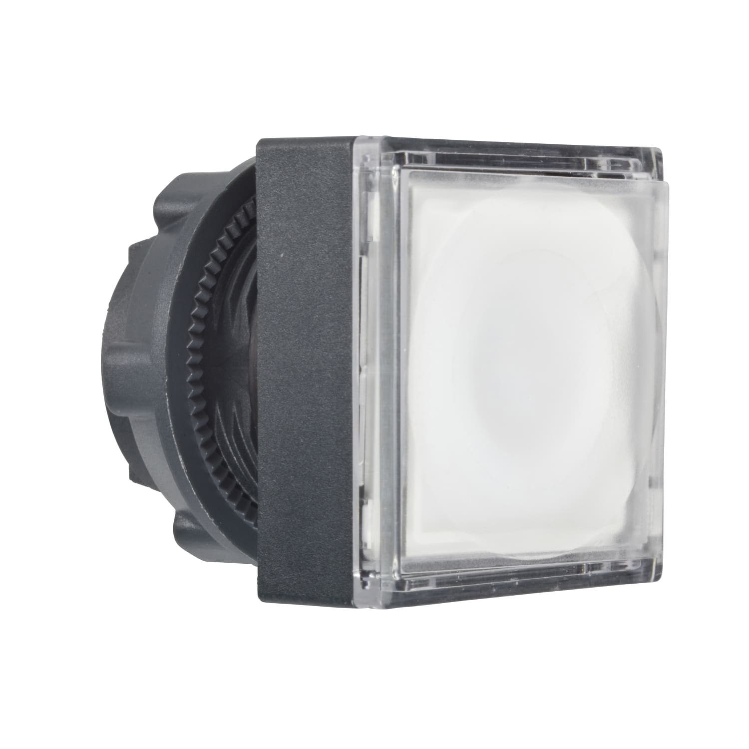 SCHNEIDER ELECTRIC - Testa pulsante quadrato luminoso Ø22 - bianco- per LED universale