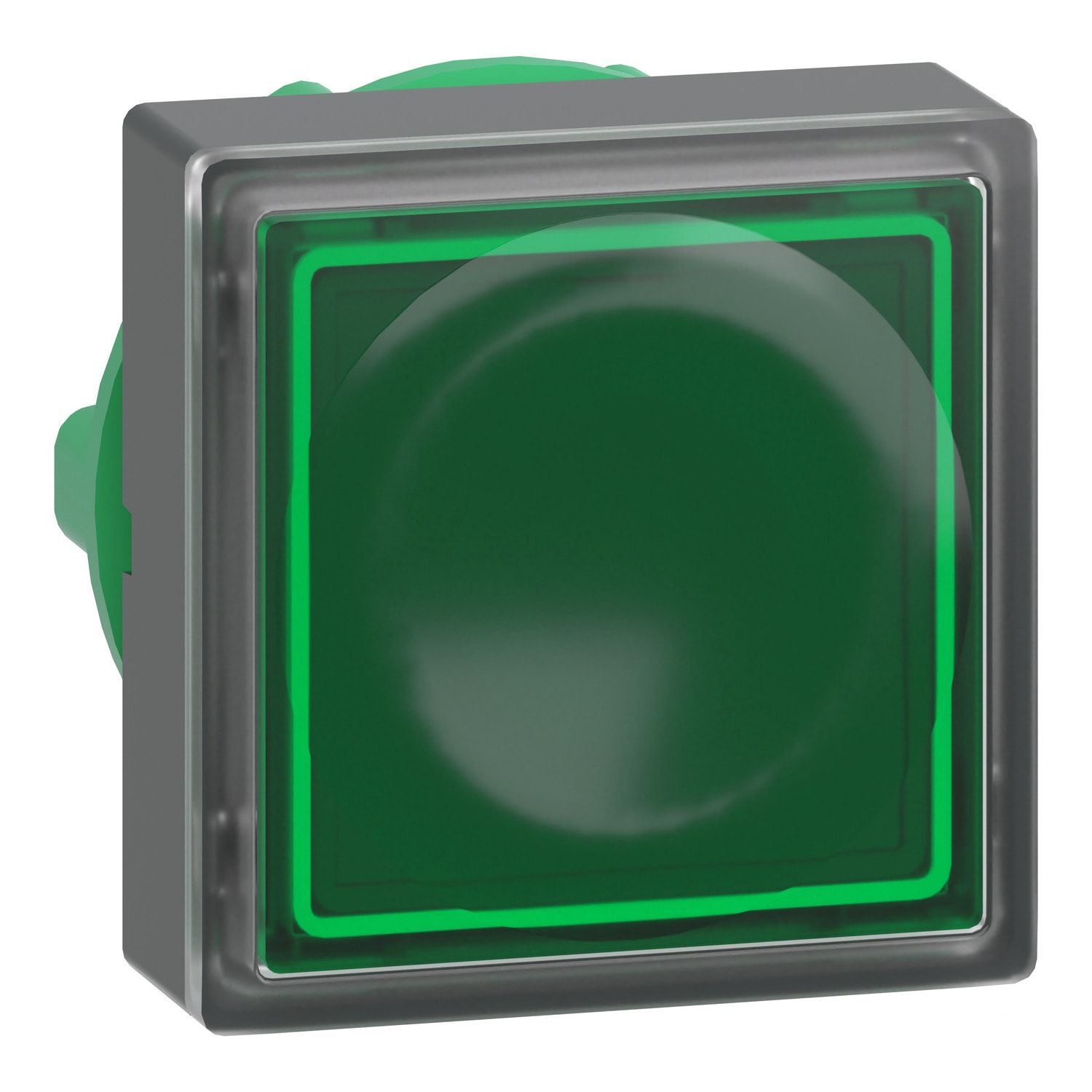 SCHNEIDER ELECTRIC - Testa pulsante quadrato luminoso Ø22 - verde - per inserimento etichetta- per LED universale