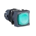 SCHNEIDER ELECTRIC - Testa pulsante luminoso quadrato Ø16 - verde