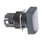 SCHNEIDER ELECTRIC - Testa pulsante luminoso rettangolare Ø16 - filoghiera - bianco