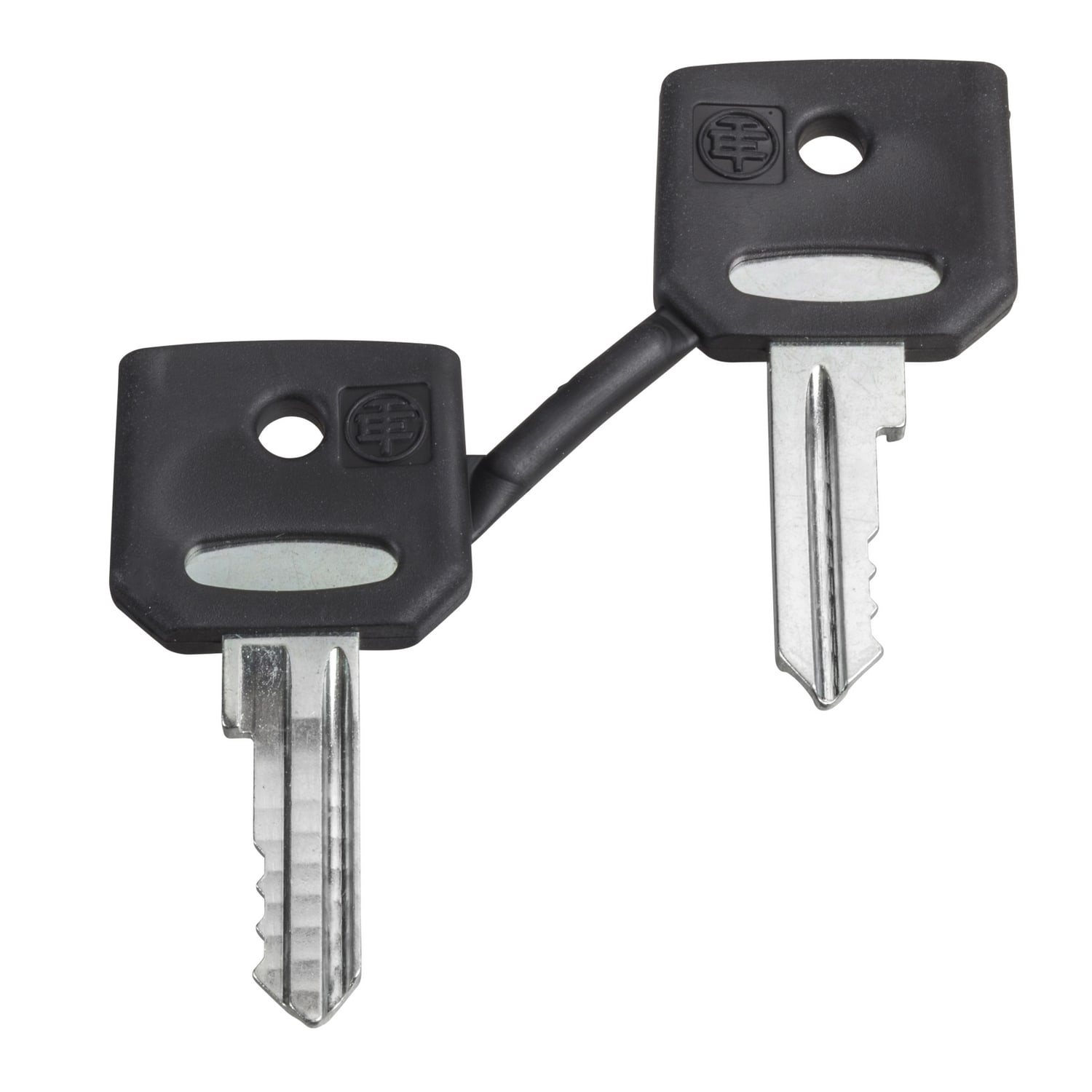 SCHNEIDER ELECTRIC - Chiave di ricambio per selettori Dom 8D1, set di 2 chiavi