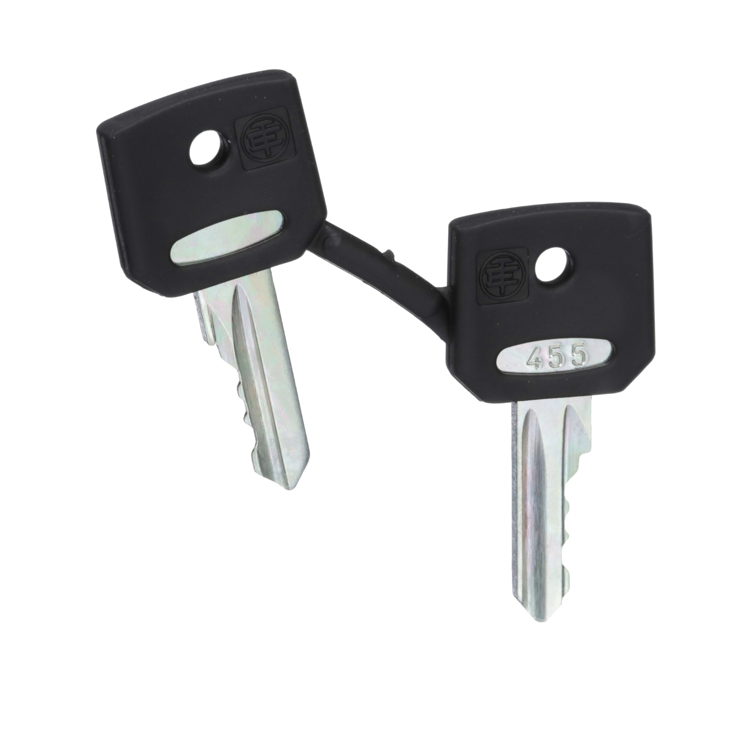 SCHNEIDER ELECTRIC - Chiave di ricambio, Harmony XB4, XB5 chiave 455, set di 2 chiavi