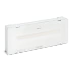SCHNEIDER ELECTRIC - Lampada di emergenza, Exiway Smartled, Activa/Dicube, autonomia selezionabile, 1250 lm, permanente/non permanente, IP65