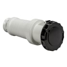 SCHNEIDER ELECTRIC - Presa mobile BT IP67 63A 500V 3P+T